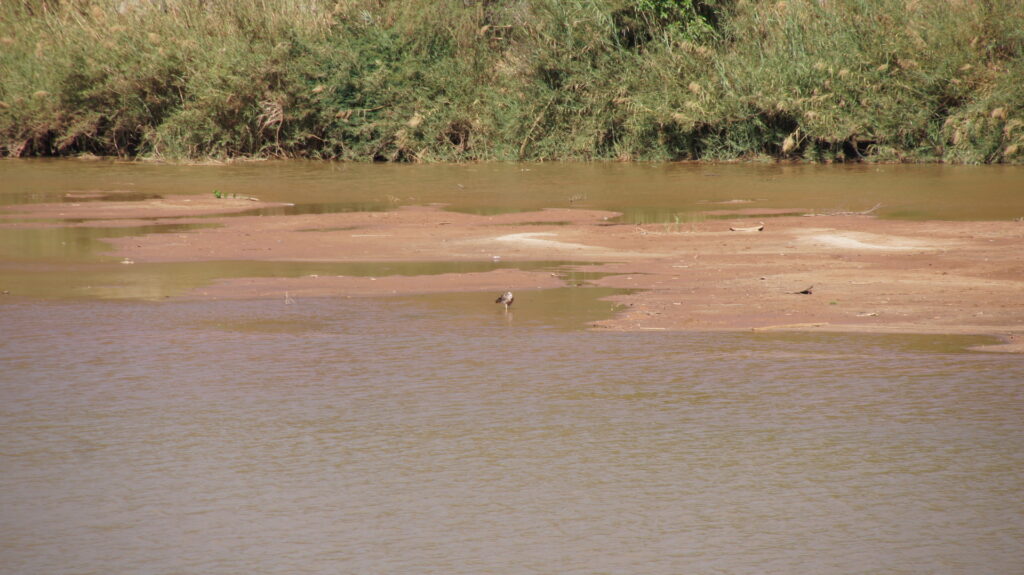 Blick in das Flussbett